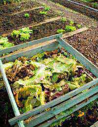 Compost Composting Humus Bin Pile Heap