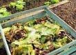 How to Compost