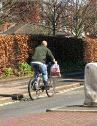 Cycling Walking Fuel Emissions Biodiesel